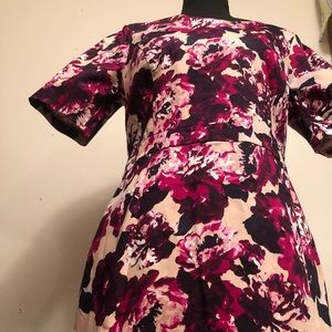 NWT Sz 14 Dress